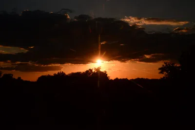 DSC_9722 (Large).JPG